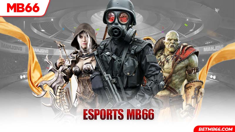Ảnh bìa Esports MB66