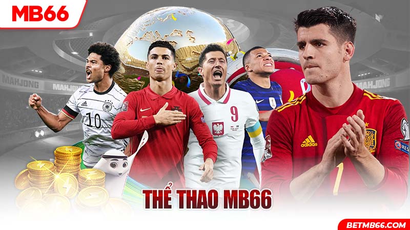 Ảnh bìa thể thao MB66