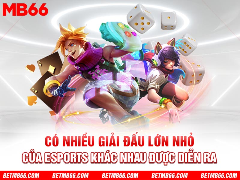 Có nhiều giải đấu lớn nhỏ của Esports khác nhau được diễn ra