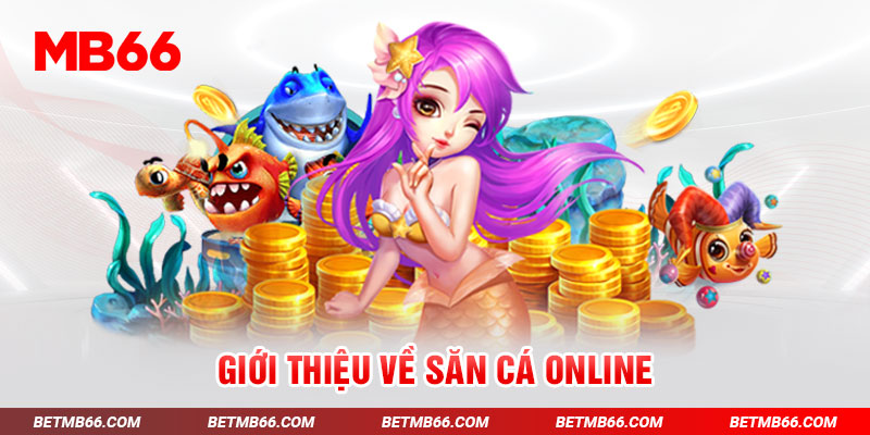 Giới thiệu về săn cá online