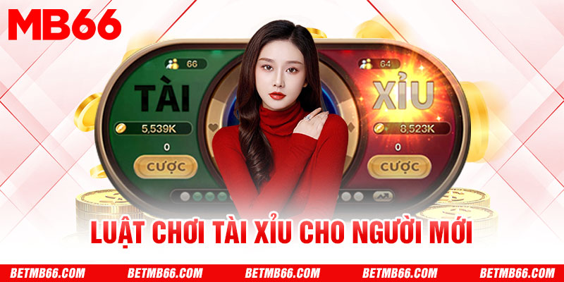 Luật chơi Tài xỉu cho người mới bắt đầu
